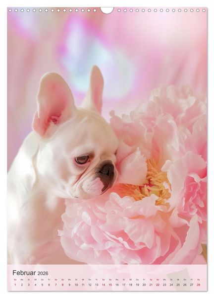 Produktbild: Bulldoggen (Wandkalender 2026 DIN A3 hoch), CALVENDO Monatskalender