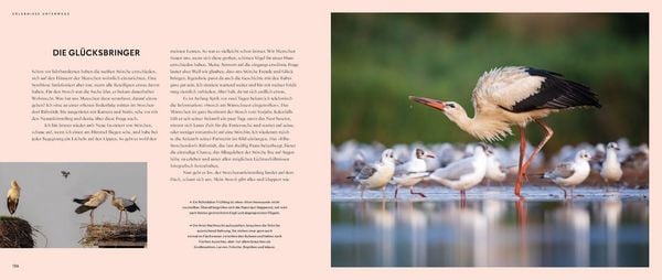 Produktbild: Wilde Elbe