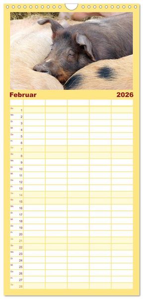 Produktbild: Familienplaner 2026 - Der Schweinekalender mit 5 Spalten (Wandkalender, 21 x 45 cm) CALVENDO