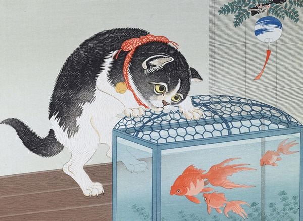 Produktbild: Katzen