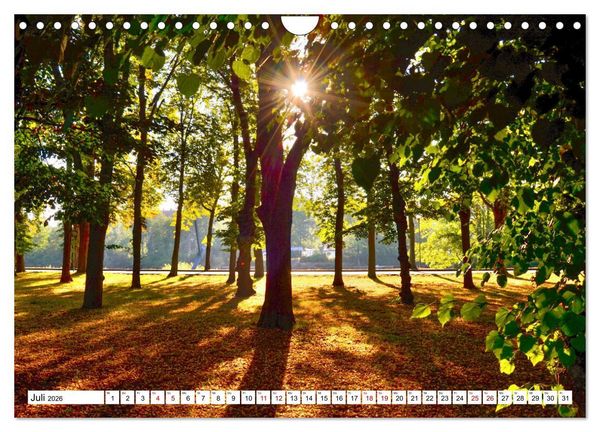 Produktbild: Kassel begeistert (Wandkalender 2026 DIN A4 quer), CALVENDO Monatskalender