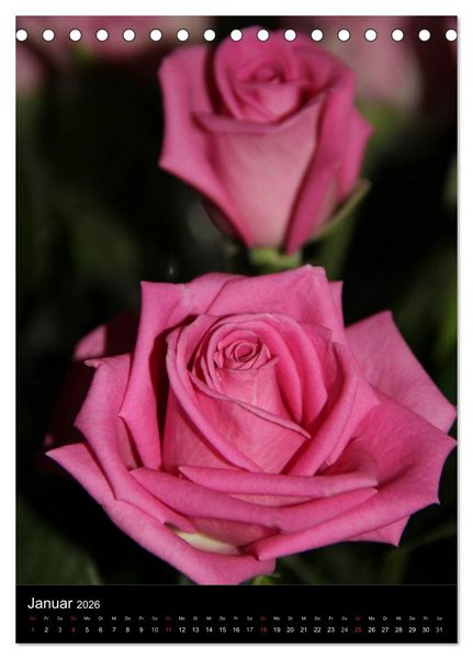 Produktbild: Zauberhafte Rosen (Tischkalender 2026 DIN A5 hoch), CALVENDO Monatskalender