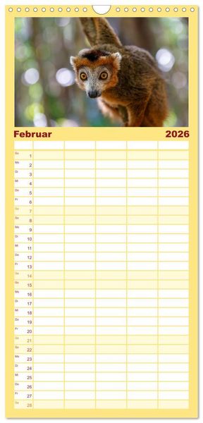 Produktbild: Familienplaner 2026 - Tierisch tolles Madagaskar - Cham&auml;leons, Lemuren und mehr mit 5 Spalten (Wandkalender, 21 x 45 cm) CALVENDO