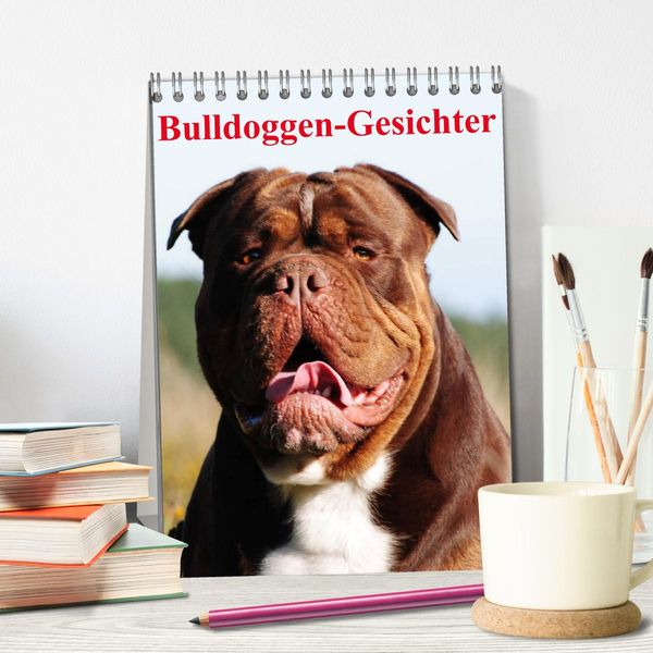 Produktbild: Bulldoggen-Gesichter (Tischkalender 2026 DIN A5 hoch), CALVENDO Monatskalender