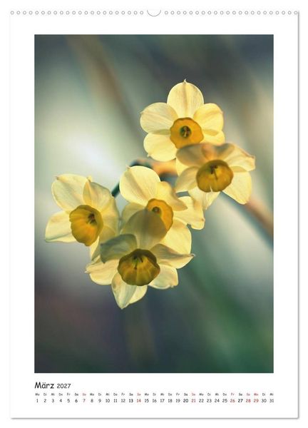 Produktbild: Lichtf&auml;nger (hochwertiger Premium Wandkalender 2027 DIN A2 hoch), Kunstdruck in Hochglanz