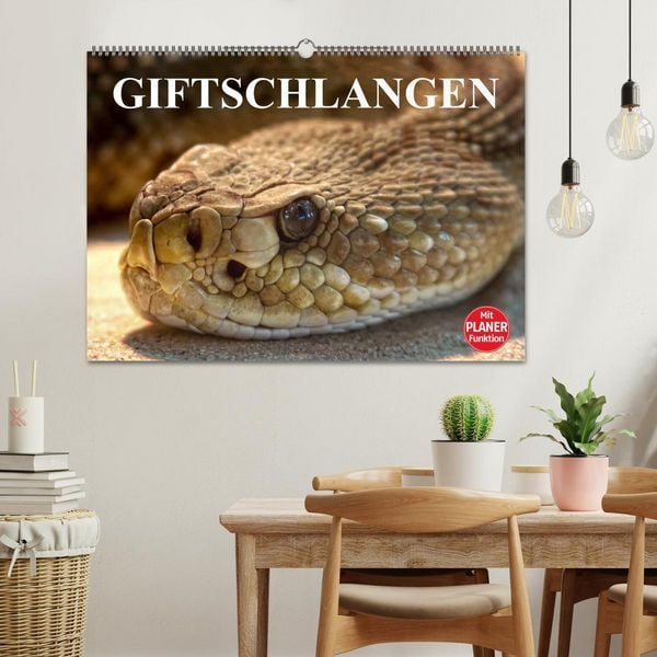 Produktbild: Giftschlangen (Wandkalender 2026 DIN A2 quer), CALVENDO Monatskalender