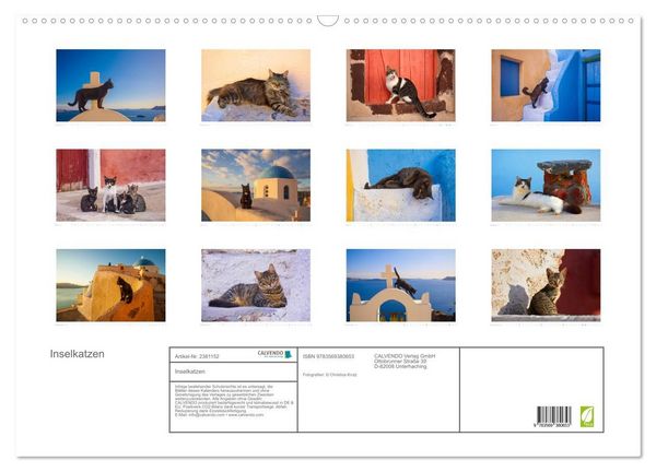 Produktbild: Inselkatzen (Wandkalender 2027 DIN A2 quer), CALVENDO Monatskalender