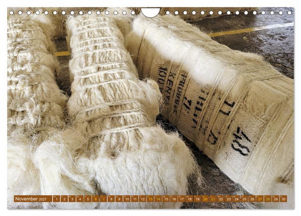 Produktbild: SISAL - von der Pflanze zum Produkt (Wandkalender 2027 DIN A4 quer), CALVENDO Monatskalender