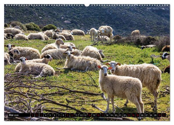 Produktbild: Ostkreta - Zwischen Sitia und Ierapetra (hochwertiger Premium Wandkalender 2026 DIN A2 quer), Kunstdruck in Hochglanz