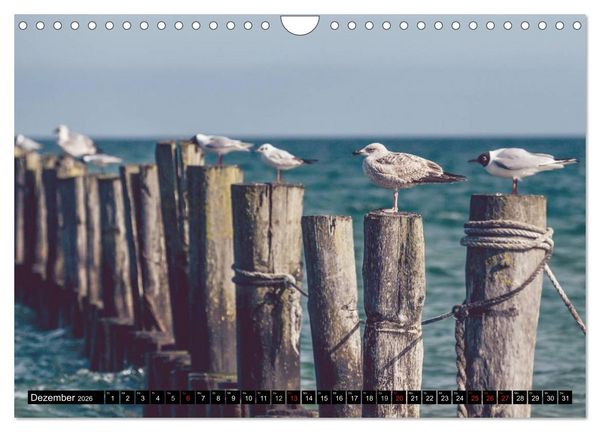 Produktbild: Ostsee - Tr&auml;ume vom Meer (Wandkalender 2026 DIN A4 quer), CALVENDO Monatskalender