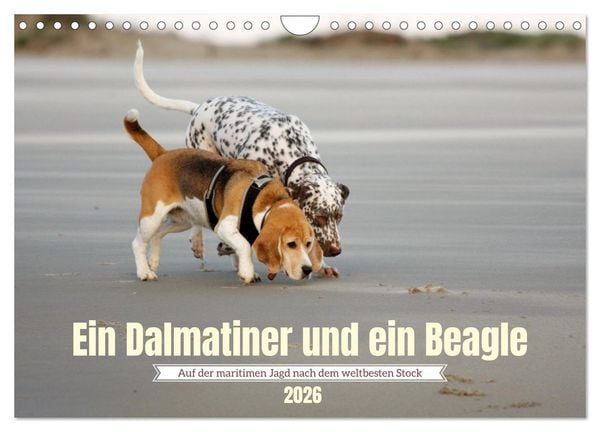 Produktbild: Ein Dalmatiner und ein Beagle - Auf der maritimen Jagd nach dem weltbesten Stock (Wandkalender 2026 DIN A4 quer), CALVENDO Monatskalender