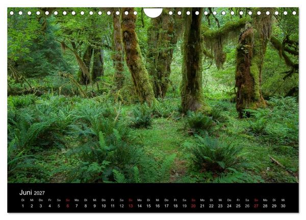 Produktbild: Das "gr&uuml;ne" Nordamerika - Kanada und USA (Wandkalender 2027 DIN A4 quer), CALVENDO Monatskalender