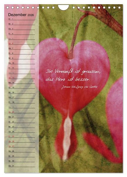 Produktbild: Blumen & Zitate / Geburtstagskalender (Wandkalender 2026 DIN A4 hoch), CALVENDO Monatskalender
