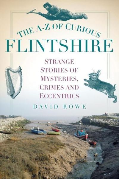 Produktbild: The A-Z of Curious Flintshire
