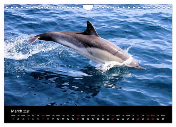 Produktbild: Estepona Costa Del Sol (Wall Calendar 2027 DIN A4 landscape), CALVENDO 12 Month Wall Calendar