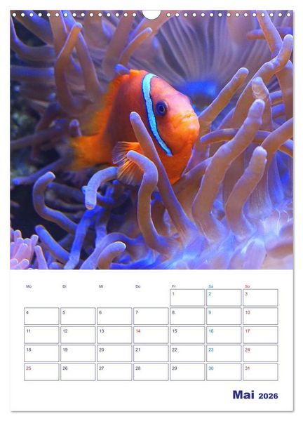 Produktbild: Bunte Meereswelten (Wandkalender 2026 DIN A3 hoch), CALVENDO Monatskalender