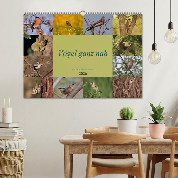Produktbild: V&ouml;gel ganz nah (Wandkalender 2026 DIN A2 quer), CALVENDO Monatskalender