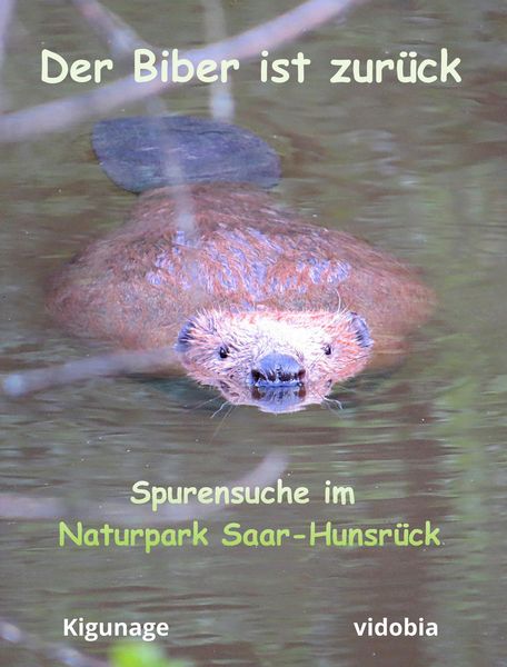 Produktbild: Der Biber ist zur&uuml;ck