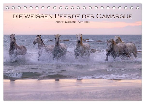 Produktbild: Die wei&szlig;en Pferde der Camargue (Tischkalender 2026 DIN A5 quer), CALVENDO Monatskalender