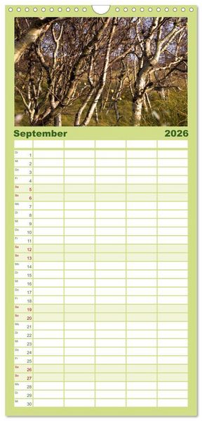 Produktbild: Familienplaner 2026 - Wald mit 5 Spalten (Wandkalender, 21 x 45 cm) CALVENDO