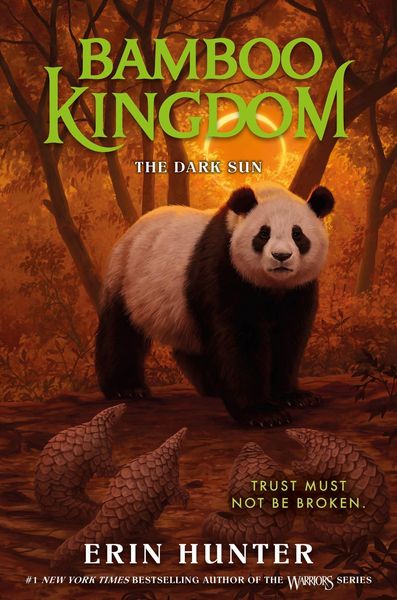 Produktbild: Bamboo Kingdom #4: The Dark Sun