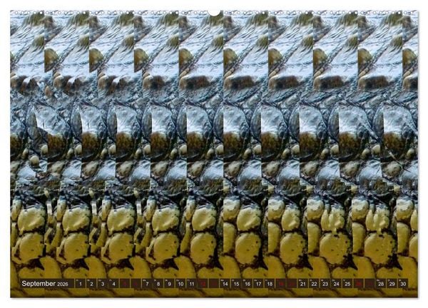 Produktbild: Magische Bilder - fantastische Stereogramme (hochwertiger Premium Wandkalender 2026 DIN A2 quer), Kunstdruck in Hochglanz