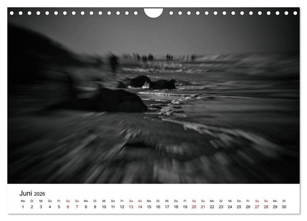 Produktbild: Sylt ... bewegt (Wandkalender 2026 DIN A4 quer), CALVENDO Monatskalender