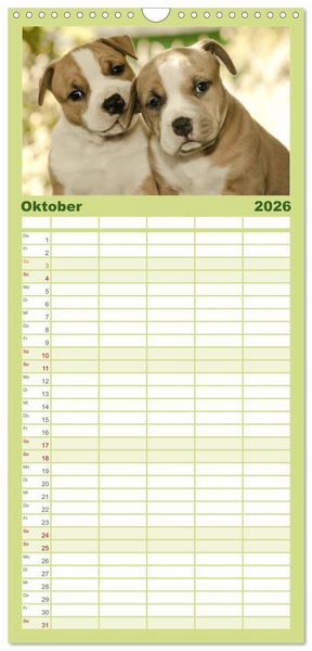 Produktbild: Familienplaner 2026 - Pit Bull und Co. - Geliebt, gef&uuml;rchtet, missverstanden mit 5 Spalten (Wandkalender, 21 x 45 cm) CALVENDO