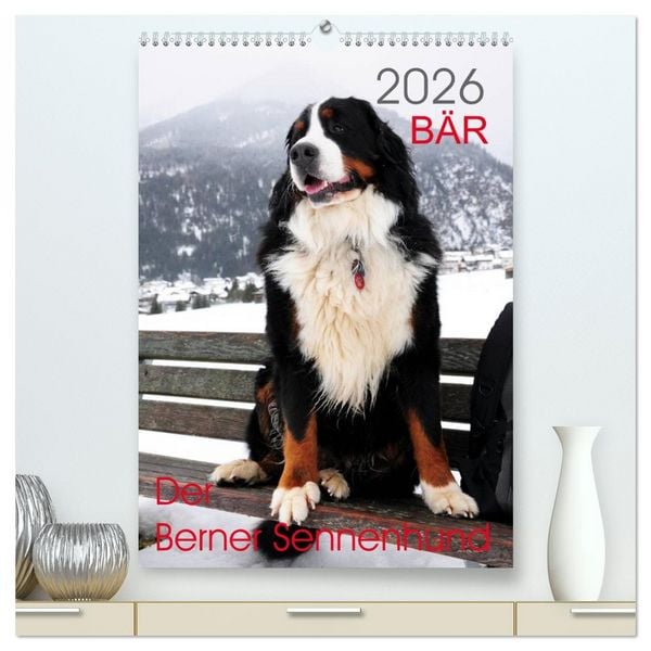 Produktbild: B&Auml;R - Der Berner Sennenhund (hochwertiger Premium Wandkalender 2026 DIN A2 hoch), Kunstdruck in Hochglanz