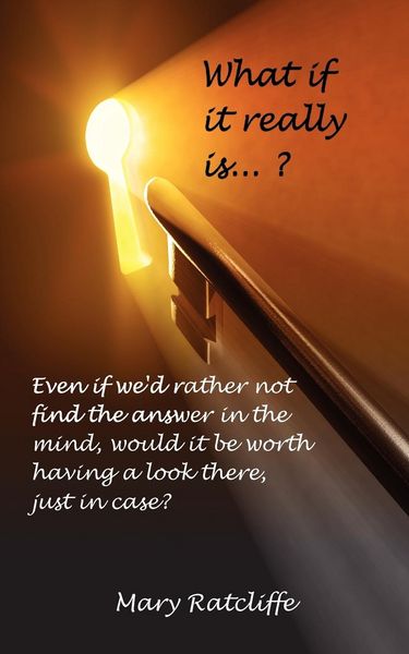 Produktbild: What If It Really Is...?