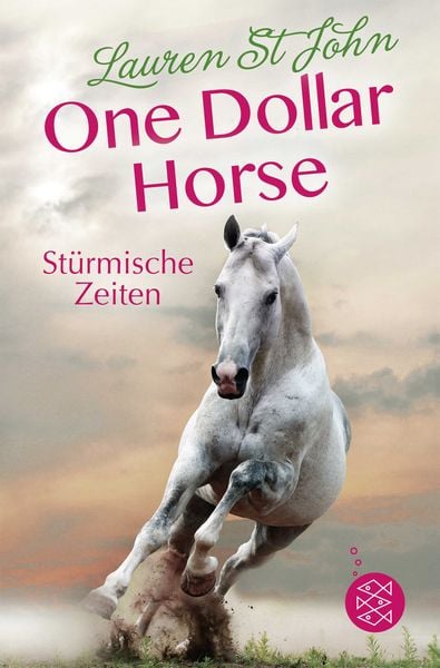 Produktbild: One Dollar Horse &ndash; St&uuml;rmische Zeiten