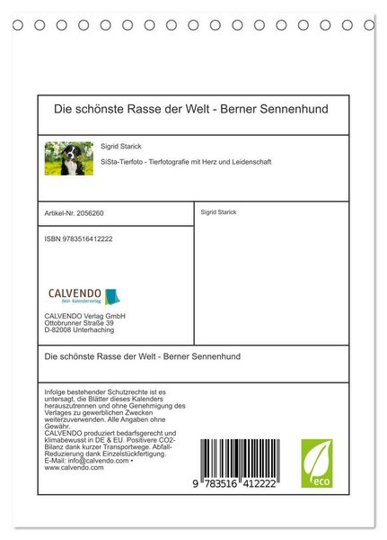 Produktbild: Die sch&ouml;nste Rasse der Welt - Berner Sennenhund (Tischkalender 2026 DIN A5 hoch), CALVENDO Monatskalender