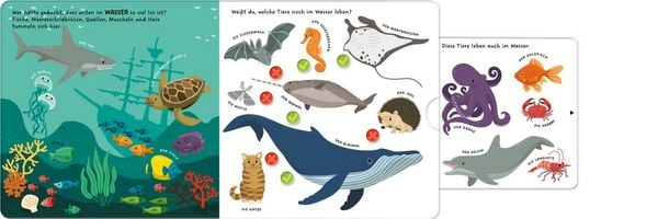 Produktbild: Kennst du die Tiere?