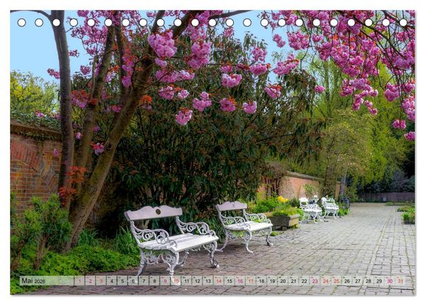Produktbild: Schlossgarten Oldenburg. Ein Fotospaziergang (Tischkalender 2026 DIN A5 quer), CALVENDO Monatskalender