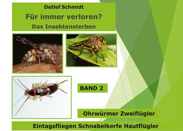Produktbild: F&uuml;r immer verloren?