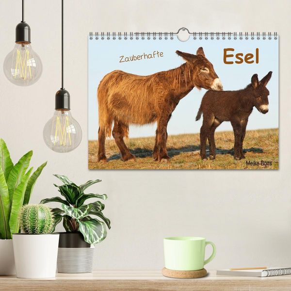 Produktbild: Zauberhafte Esel (Wandkalender 2026 DIN A4 quer), CALVENDO Monatskalender