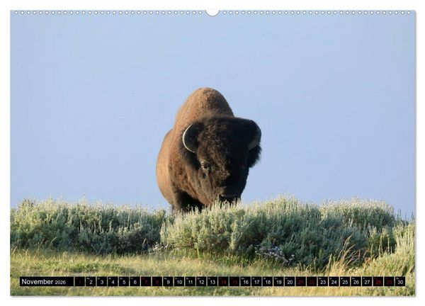 Produktbild: Wunderwelt Yellowstone 2026 (hochwertiger Premium Wandkalender 2026 DIN A2 quer), Kunstdruck in Hochglanz