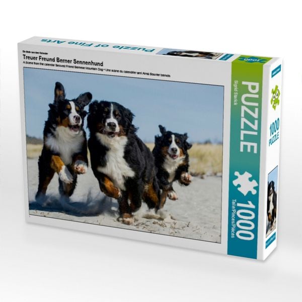 CALVENDO Puzzle Ein Motiv aus dem Kalender Treuer Freund Berner Sennenhund | 1000 Teile Lege-Größe 64x48cm Foto-Puzzle für glückliche Stunden