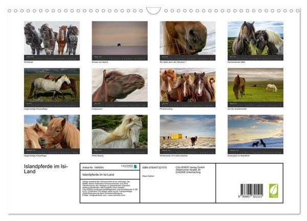 Produktbild: Islandpferde im Isi-Land (Wandkalender 2026 DIN A3 quer), CALVENDO Monatskalender
