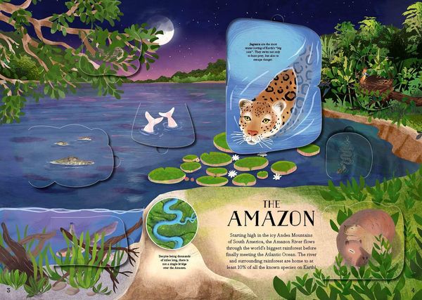 Produktbild: The River of Life