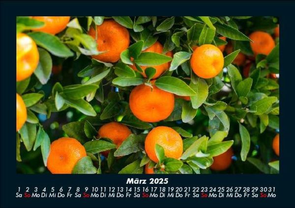 Produktbild: Obstkalender 2025 Fotokalender DIN A5