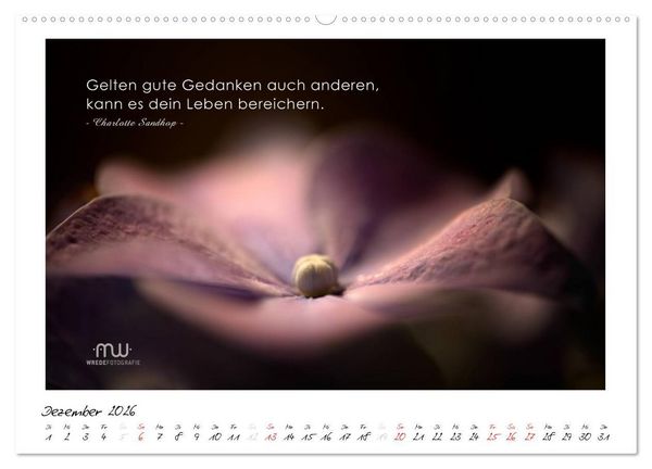 Produktbild: Gedanken... Bildkalender mit Spr&uuml;chen (hochwertiger Premium Wandkalender 2026 DIN A2 quer), Kunstdruck in Hochglanz
