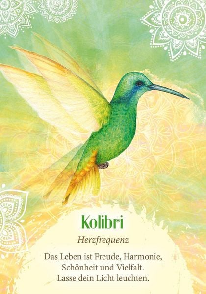 Produktbild: Das Orakel der V&ouml;gel