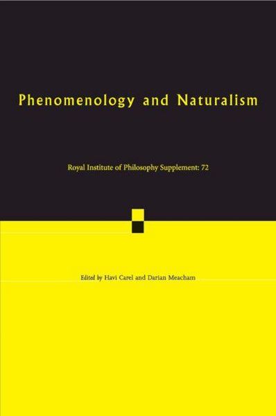 Produktbild: Phenomenology and Naturalism