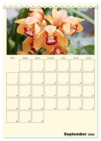 Produktbild: Orchideentr&auml;ume (Tischkalender 2026 DIN A5 hoch), CALVENDO Monatskalender