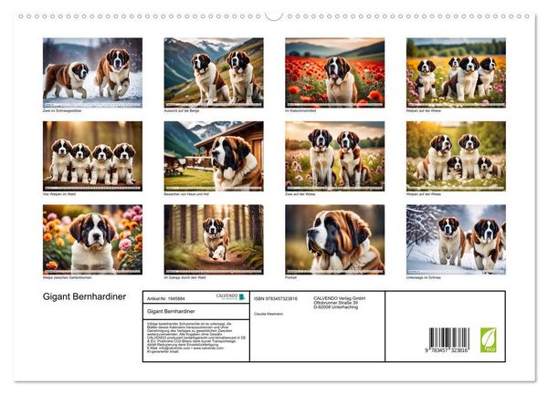 Produktbild: Gigant Bernhardiner (hochwertiger Premium Wandkalender 2026 DIN A2 quer), Kunstdruck in Hochglanz