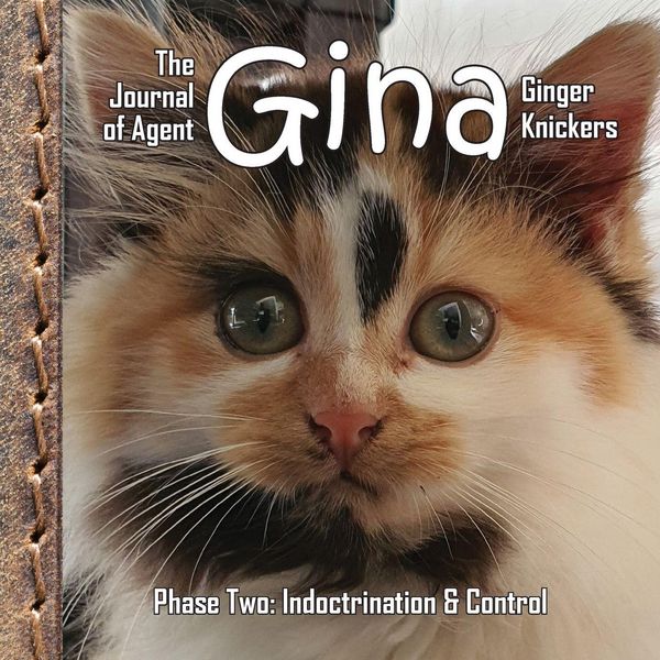 Produktbild: The Journal of Agent Gina Ginger Knickers, Phase Two