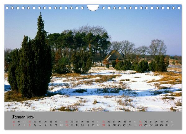 Produktbild: L&uuml;neburger Heide - sch&ouml;n zu jeder Jahreszeit (Wandkalender 2026 DIN A4 quer), CALVENDO Monatskalender