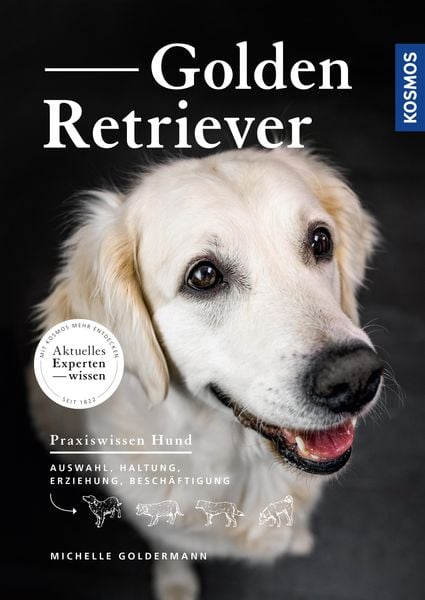 Produktbild: Golden Retriever