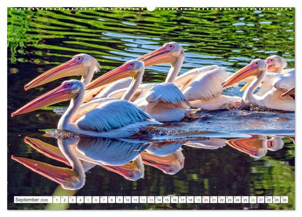 Produktbild: Mein buntes Mecklenburg (hochwertiger Premium Wandkalender 2026 DIN A2 quer), Kunstdruck in Hochglanz